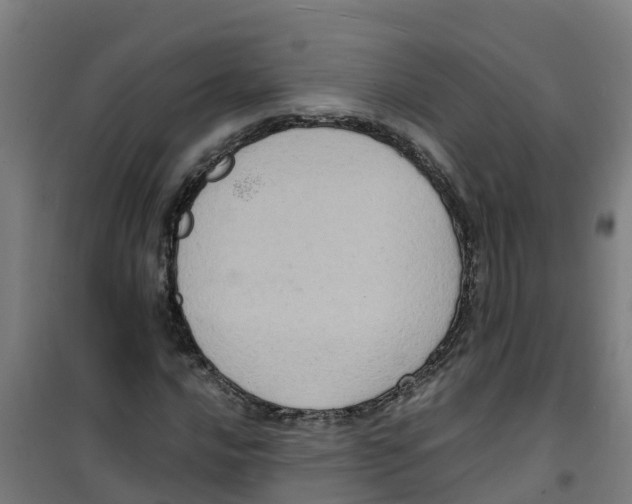 X0000100351016200807031809