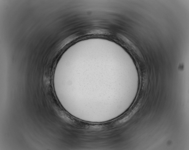 X0000100351017200807031809