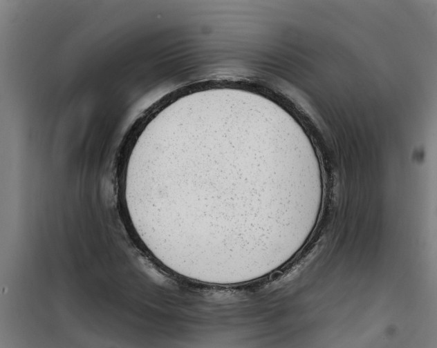 X0000100351018200807031809