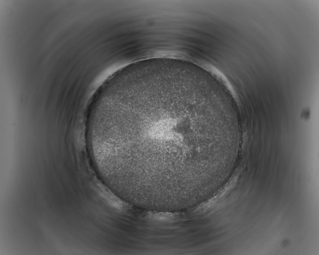 X0000100351019200807031809