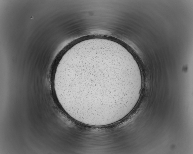 X0000100351022200807031809