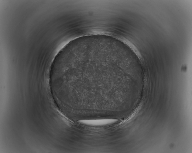 X0000100351023200807031809