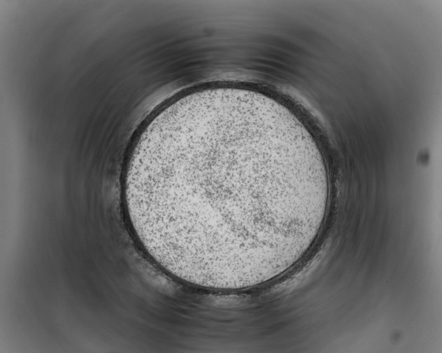 X0000100351025200807031809