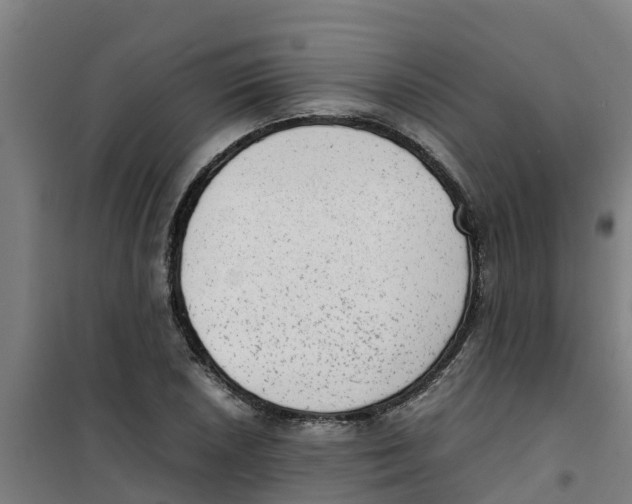 X0000100351026200807031809