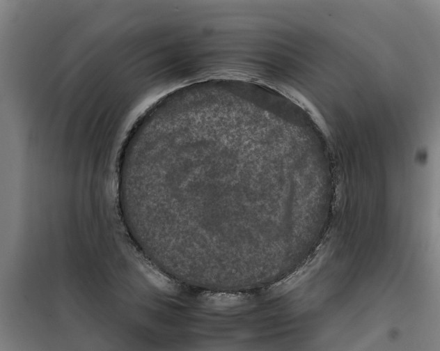 X0000100351027200807031809