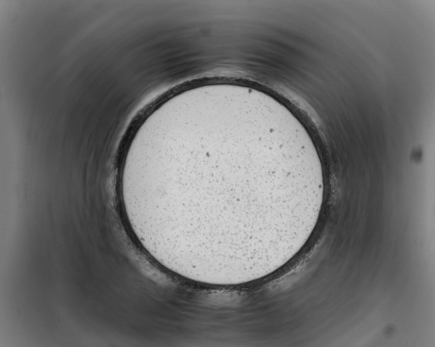 X0000100351029200807031809