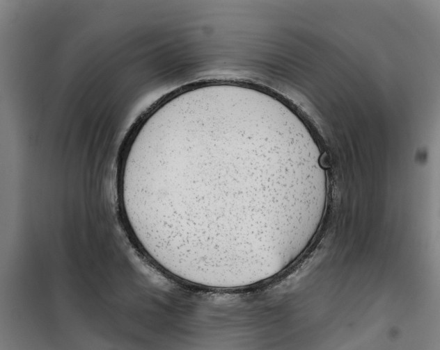 X0000100351030200807031809