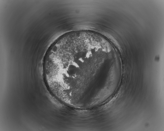 X0000100351031200807031809