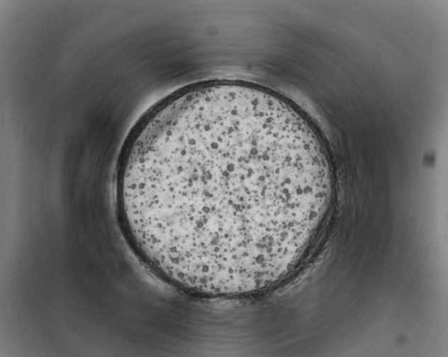 X0000100351032200807031809