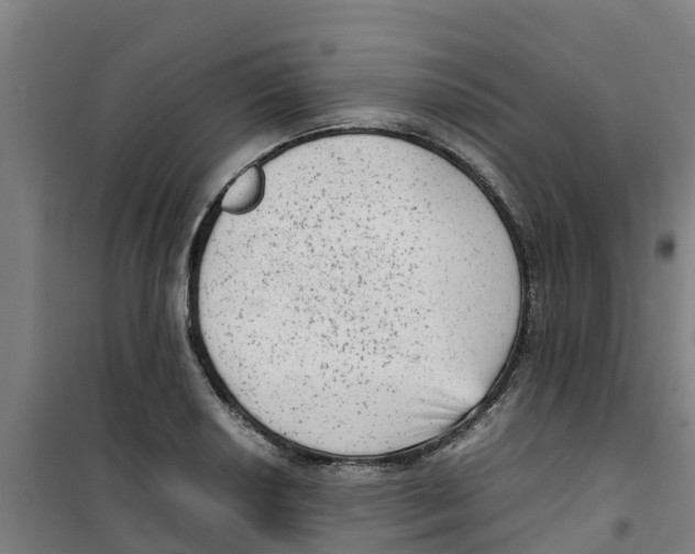 X0000100351034200807031809