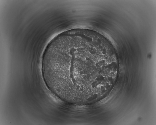 X0000100351035200807031809