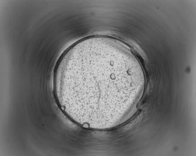 X0000100351036200807031809