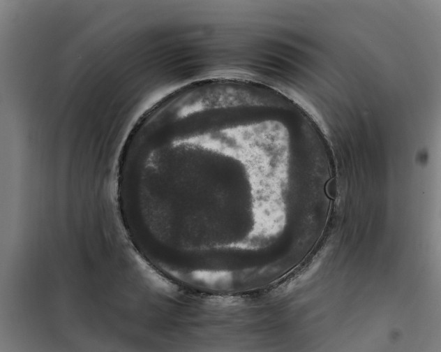 X0000100351037200807031809