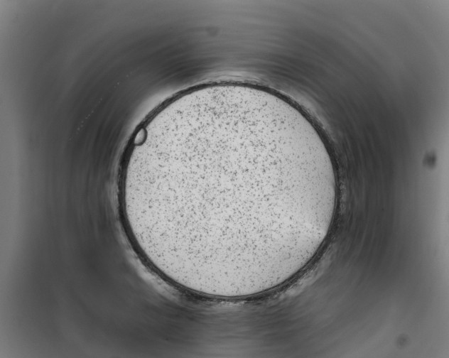 X0000100351038200807031809