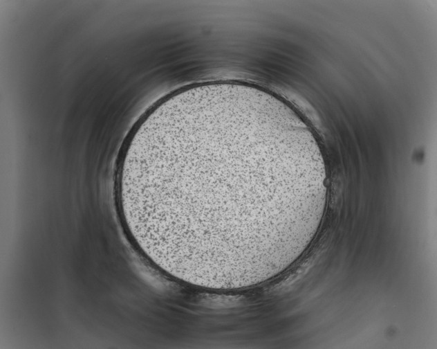 X0000100351039200807031809