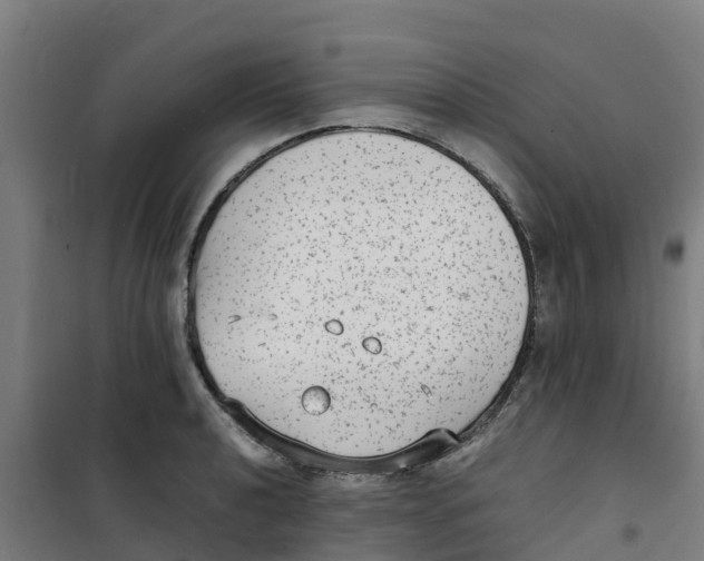 X0000100351040200807031809