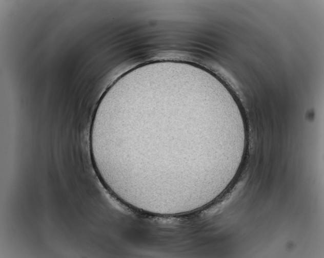 X0000100351041200807031809