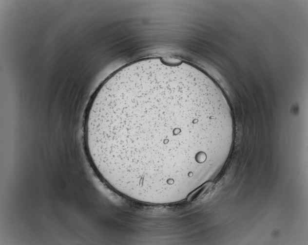 X0000100351042200807031809