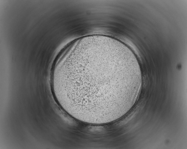 X0000100351043200807031809