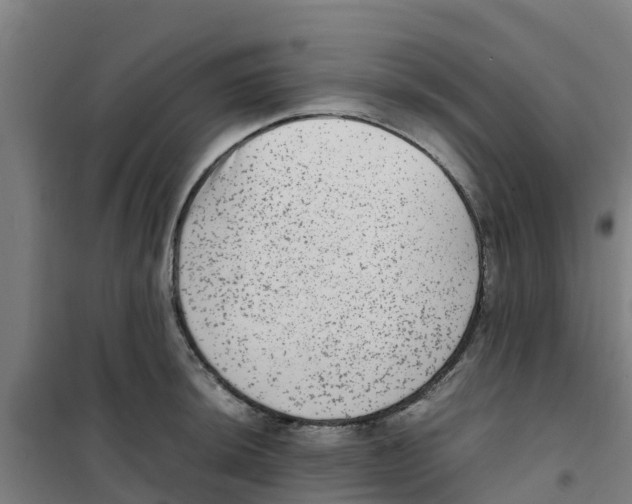 X0000100351044200807031809