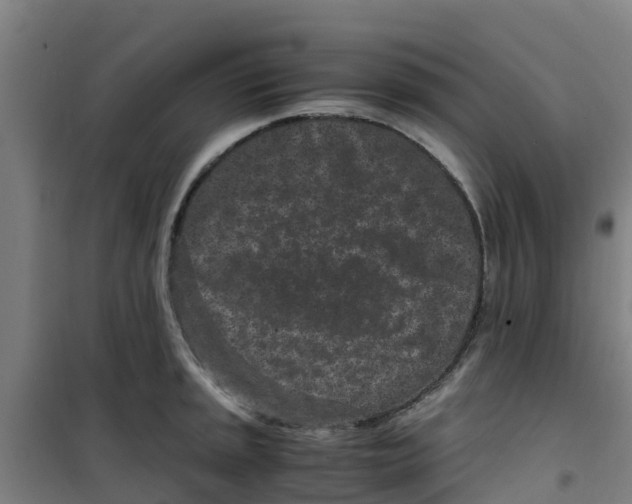 X0000100351045200807031809