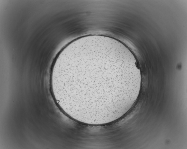 X0000100351046200807031809