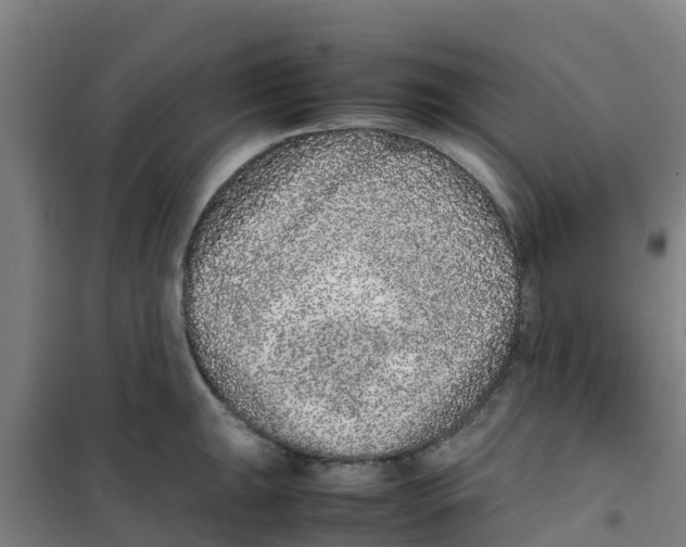 X0000100351047200807031809