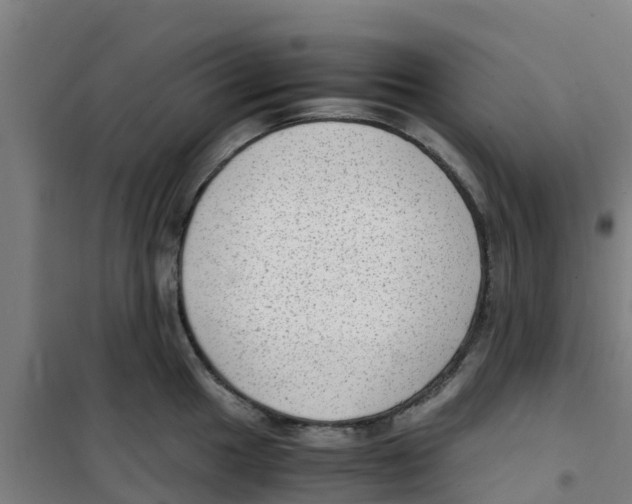 X0000100351049200807031809