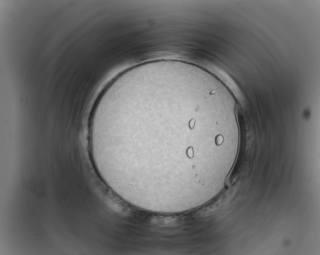 X0000100351051200807031809