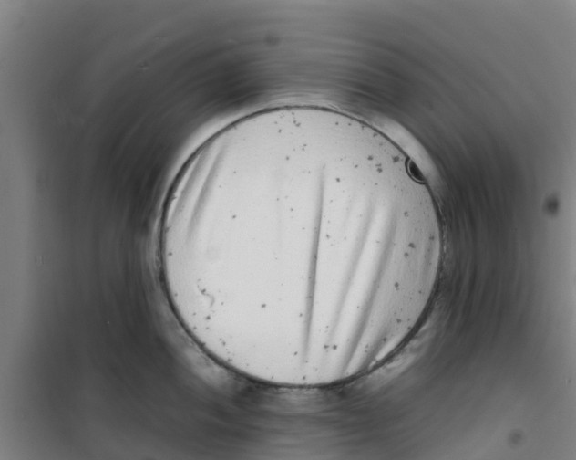 X0000100351052200807031809