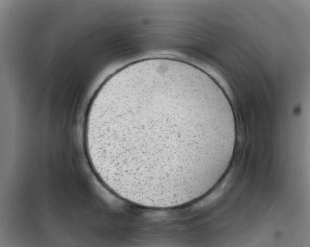 X0000100351054200807031809