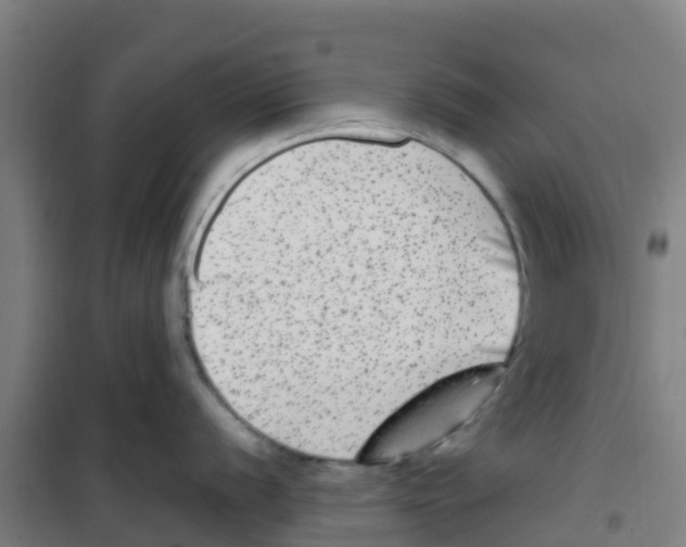 X0000100351056200807031809