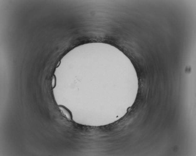 X0000100351057200807031809