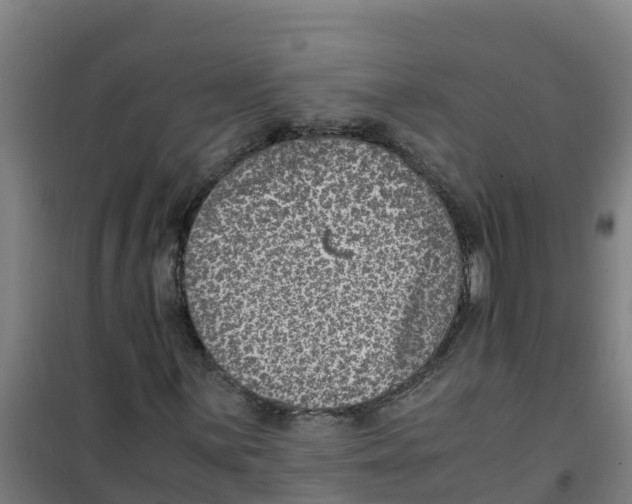 X0000100351059200807031809