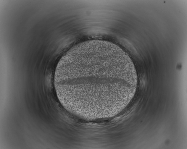 X0000100351060200807031808