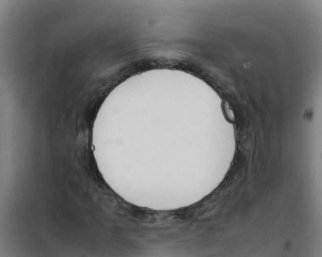 X0000100351061200807031808