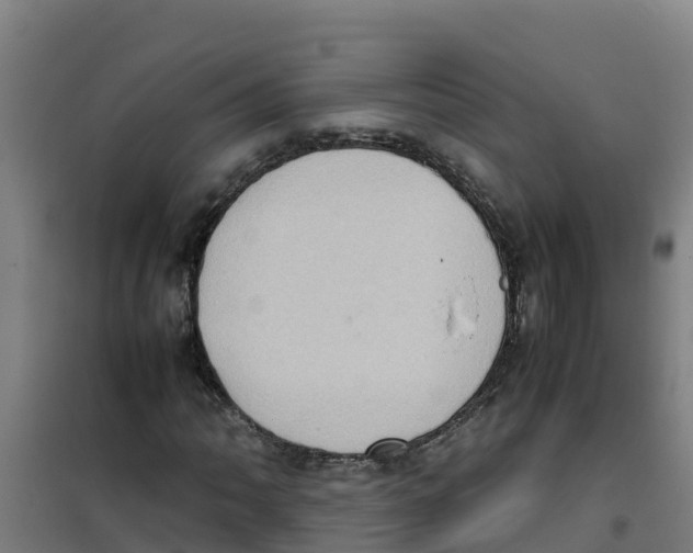 X0000100351062200807031808