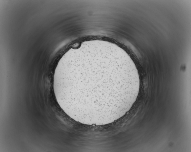 X0000100351064200807031808