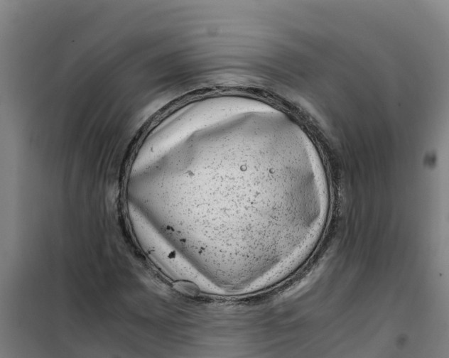 X0000100351065200807031808