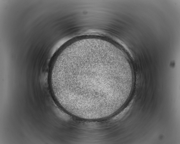 X0000100351066200807031808