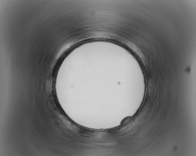 X0000100351067200807031808