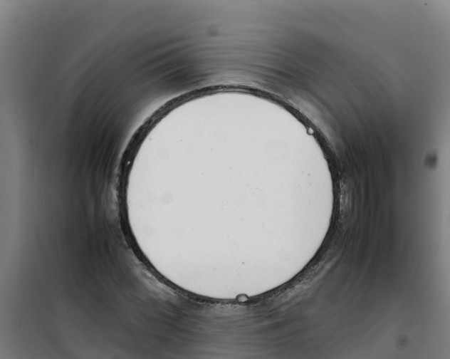 X0000100351068200807031808