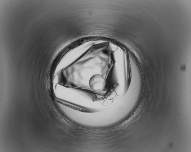 X0000100351069200807031808