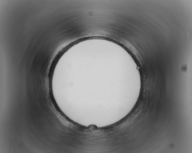 X0000100351072200807031808