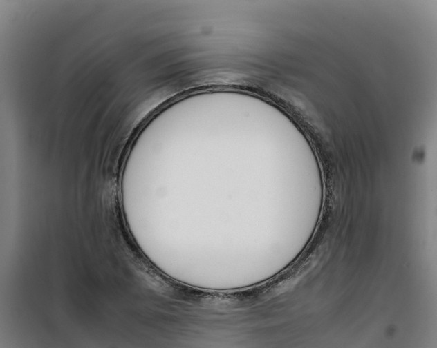 X0000100351073200807031808