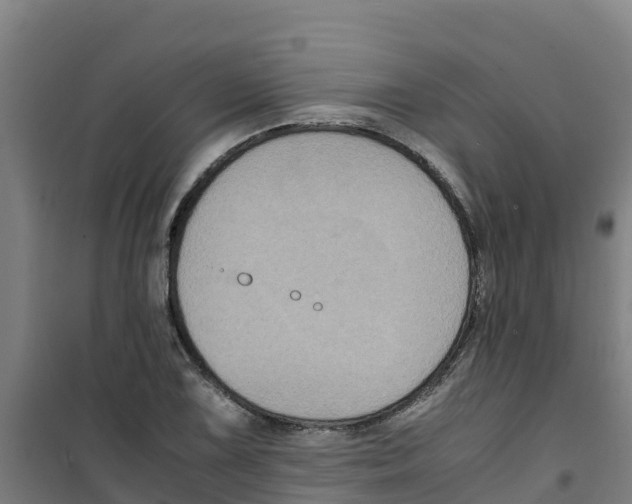 X0000100351075200807031808