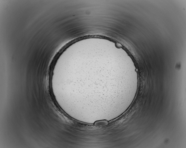 X0000100351076200807031808