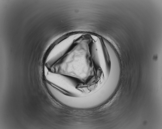 X0000100351077200807031808