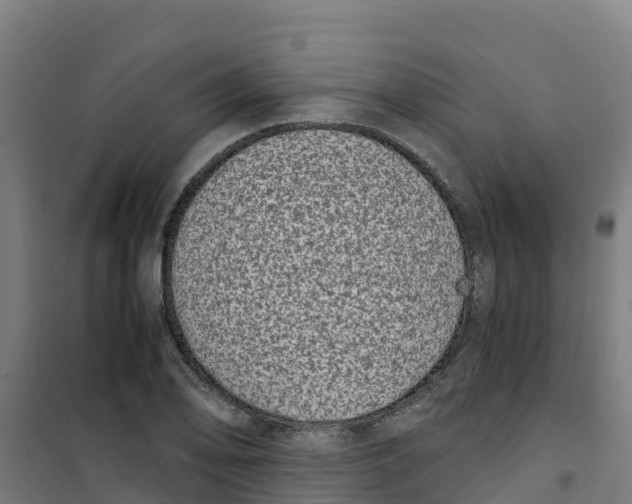 X0000100351078200807031808