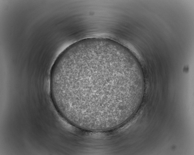 X0000100351079200807031808